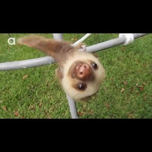 Meet your Posher, Meg